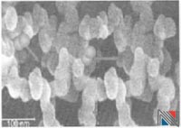 纳米微孔绝热材料 SEM照片